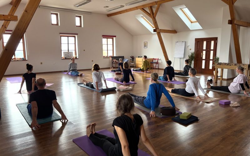 sundo beginners course